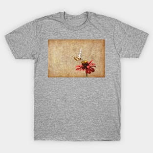 Nectarising - Butterfly Lands On A Flowerhead T-Shirt